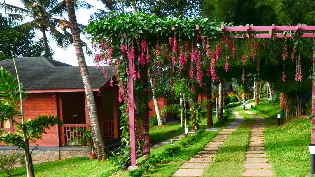 LakeRose Wayanad - Cycling